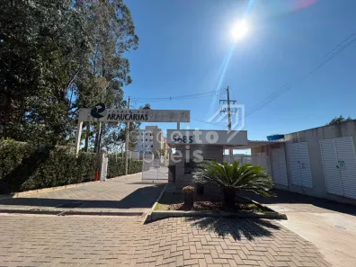 Apartamento com 2 Quartos para alugar, 50m² no Uvaranas, Ponta Grossa