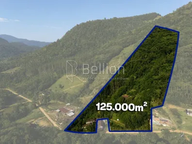 Fazenda/Sítio com 9 Quartos à venda, 125000m² no Cedro Alto, Rio dos Cedros