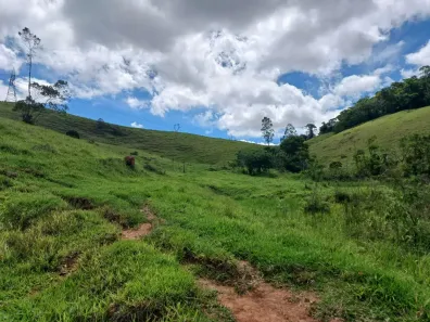 Fazenda/Sítio à venda, 244500m² no , Santos Dumont