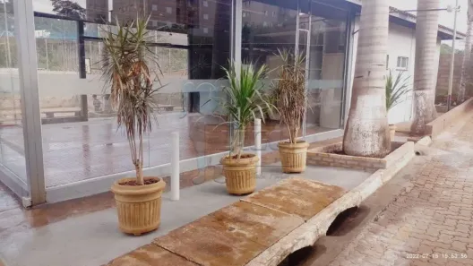 Apartamento com 2 Quartos à venda, 44m² no Condomínio Uirapuru, Ribeirão Preto