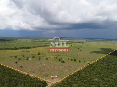 Fazenda/Sítio à venda, 10000000m² no , Dueré
