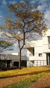 Casa de Condomínio com 4 Quartos à venda, 1412m² no Loteamento Residencial Barão do Café, Campinas
