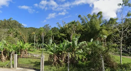 Lote/Terreno à venda, 3200m² no Ratones, Florianópolis