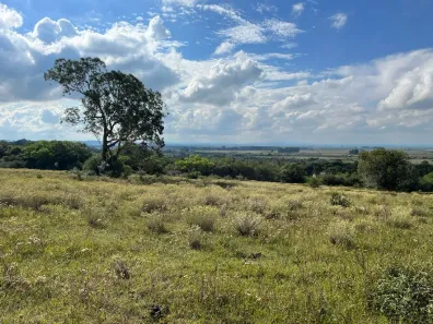 Fazenda/Sítio à venda, 200000m² no Área Rural de Águas Claras, Viamão