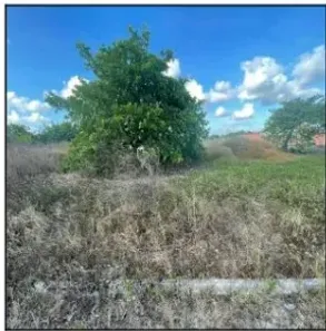Lote/Terreno à venda, 4032m² no Centro, Horizonte