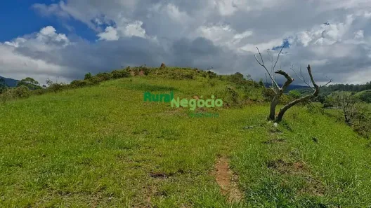Fazenda/Sítio à venda, 24689m² no Cruz Pequena, Pindamonhangaba