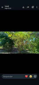 Lote/Terreno com 1 Quarto à venda, 1500m² no , Vera Cruz