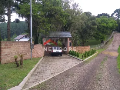 Fazenda/Sítio com 2 Quartos à venda, 20000m² no Vila Seca, Caxias do Sul