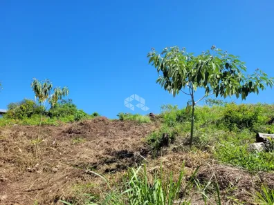 Lote/Terreno à venda, 904m² no São Luiz, Caxias do Sul