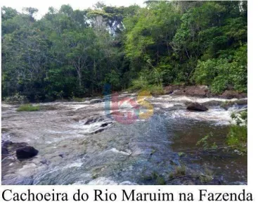Fazenda/Sítio à venda, 160000m² no , Ilhéus