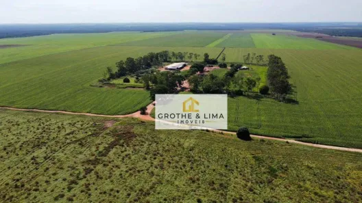 Fazenda/Sítio à venda, 800m² no , Pedro Afonso