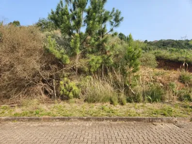 Lote/Terreno à venda, 394m² no Monte Bérico, Caxias do Sul