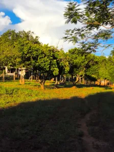 Fazenda/Sítio com 2 Quartos à venda, 90m² no , Bonito