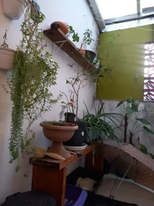 Apartamento com 1 Quarto à venda, 66m² no Campos Elíseos, São Paulo