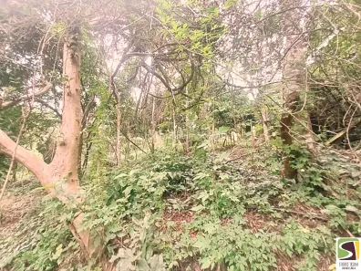 Lote/Terreno à venda, 5400m² no Furnas, Ilhabela
