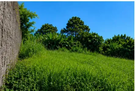 Lote/Terreno à venda, 810m² no Bosque das Mansões, São José