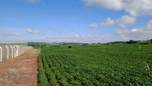 Fazenda/Sítio à venda, 20m² no , Jandaia do Sul