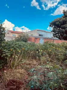 Lote/Terreno com 1 Quarto à venda, 250m² no Jardim Santo Amaro, Cambé
