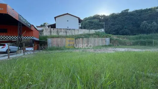 Lote/Terreno à venda, 290m² no Jardim das Palmeiras, Valinhos