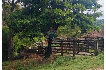 com 5 Quartos à venda, 140000m² no Área Rural de Pedro Leopoldo, Pedro Leopoldo