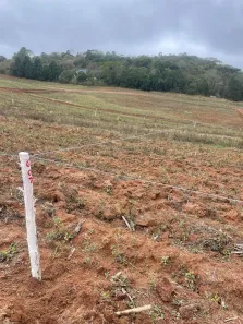 Lote/Terreno à venda, 500m² no Centro, Cotia