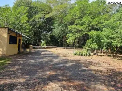 Galpão/Depósito/Armazém à venda, 80795m² no Vila Elisa, Ribeirão Preto