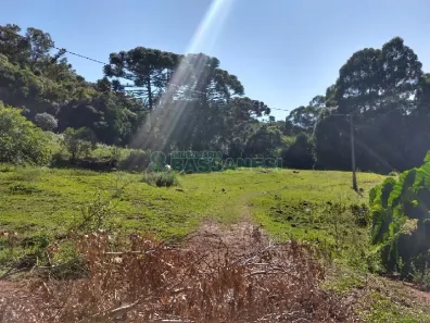 Lote/Terreno à venda, 22554m² no Pioneiro, Caxias do Sul