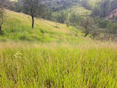 Fazenda/Sítio à venda, 20000m² no Zona Rural, Morungaba