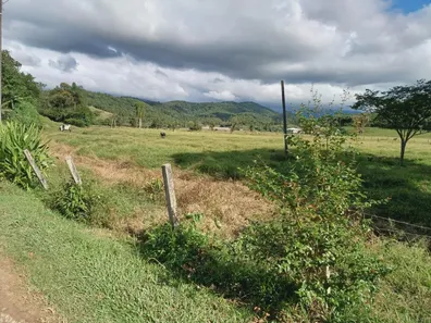 Fazenda/Sítio com 2 Quartos à venda, 40000m² no Varginha, Santo Amaro da Imperatriz