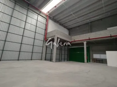 Galpão/Depósito/Armazém para alugar, 1192m² no Parque Jaçatuba, Santo André