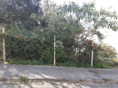 Lote/Terreno à venda, 539m² no Cidade Nova, Caxias do Sul