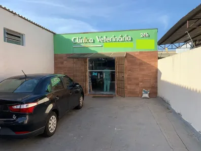 Galpão/Depósito/Armazém à venda, 230m² no Cecap, São José do Rio Preto