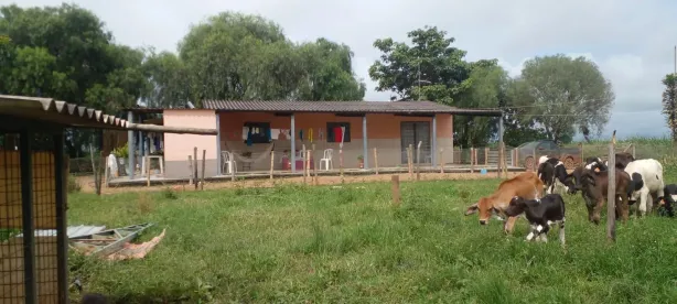 Fazenda/Sítio à venda, 46000m² no Planaltina, Brasília