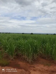 Fazenda/Sítio com 1 Quarto à venda, 6582400m² no , Panorama