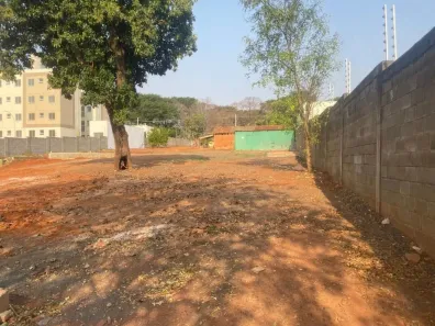 Lote/Terreno para alugar, 3000m² no Fazenda Felicidade, São José do Rio Preto