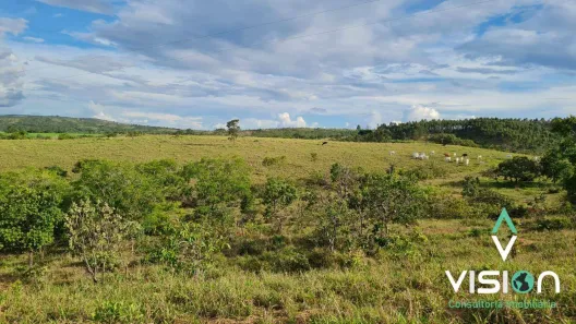 Fazenda/Sítio à venda, 1161600m² no Edilândia, Cocalzinho de Goiás