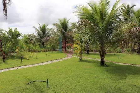 Fazenda/Sítio com 14 Quartos à venda, 496m² no , Una