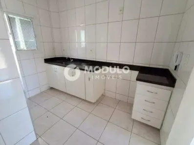 Apartamento com 2 Quartos para alugar, 55m² no Segismundo Pereira, Uberlândia