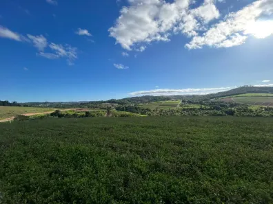 Lote/Terreno à venda, 500m² no Parque Mirante da Mata, Cotia