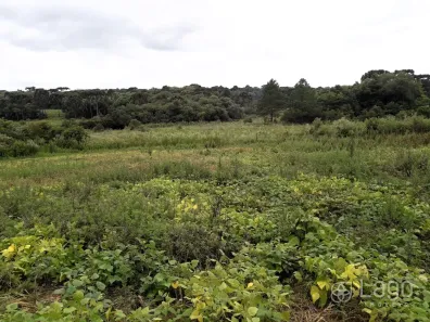 Fazenda/Sítio à venda, 24200m² no , Palmeira
