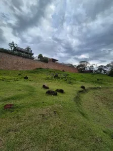 Lote/Terreno à venda, 1230m² no Centro, Vinhedo