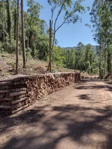 Fazenda/Sítio à venda, 20978m² no Nova Petrópolis, Nova Petrópolis