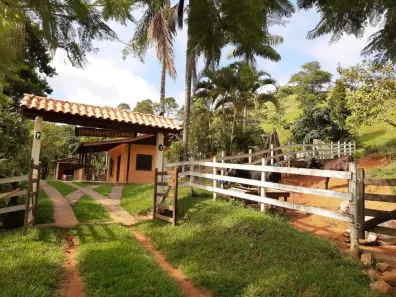 Fazenda/Sítio com 3 Quartos à venda, 144000000m² no Centro, Pedro Teixeira