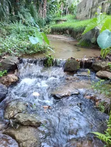 Fazenda/Sítio com 1 Quarto à venda, 2000m² no Alto Joeba, Anchieta