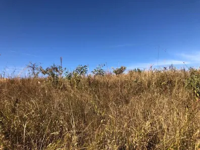 Fazenda/Sítio à venda, 20m² no , Perdizes