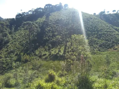 Lote/Terreno à venda, 20000m² no , Santo Antônio do Pinhal