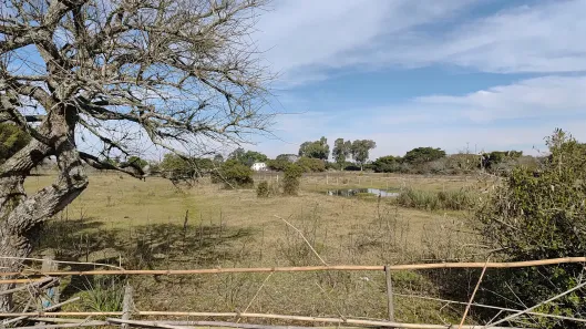Lote/Terreno à venda, 11575m² no São Gonçalo, Pelotas