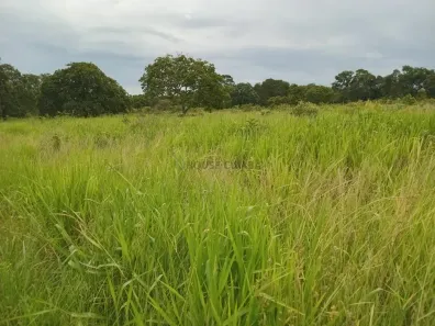 com 1 Quarto à venda, 90m² no Área Rural de Rondonópolis, Rondonópolis