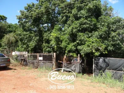 Fazenda/Sítio com 1 Quarto à venda, 1m² no Recanto Alvorada, Ibiporã