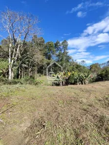 Lote/Terreno com 1 Quarto à venda, 810m² no , Schroeder